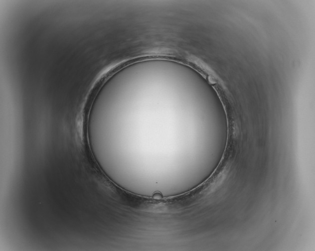 X0000101411222200807211048