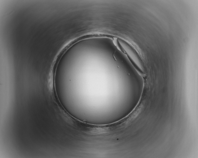 X0000101411224200807211048