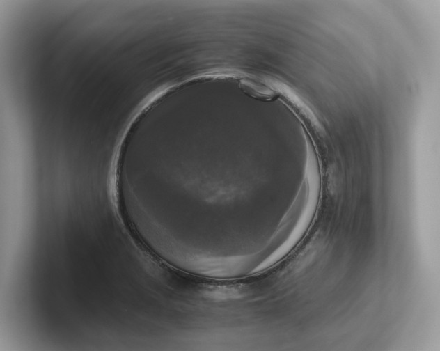 X0000101411229200807211048