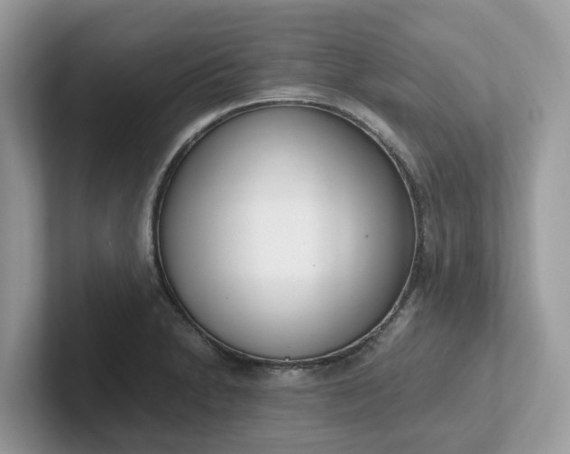 X0000101411230200807211048