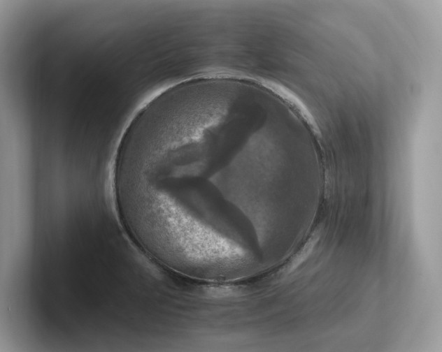 X0000101411231200807211048