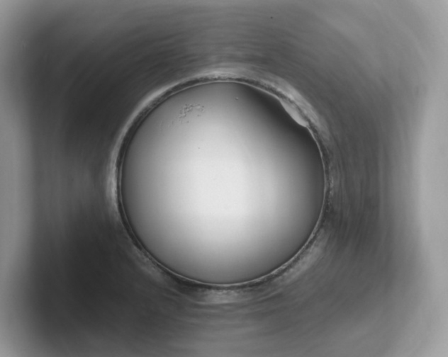 X0000101411232200807211048