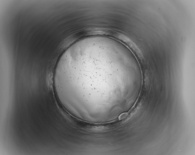 X0000101411233200807211048