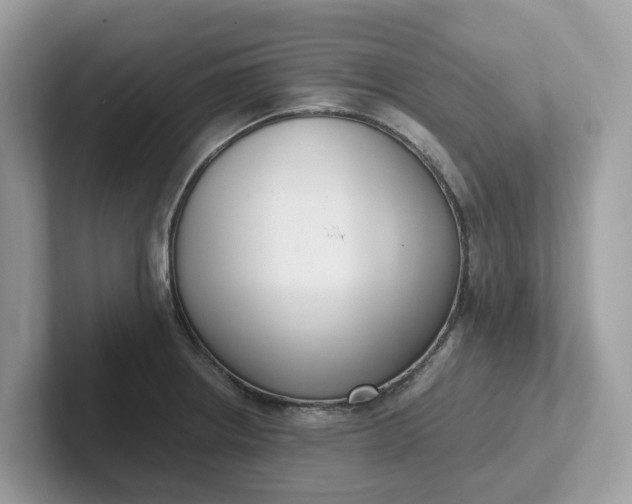 X0000101411234200807211048