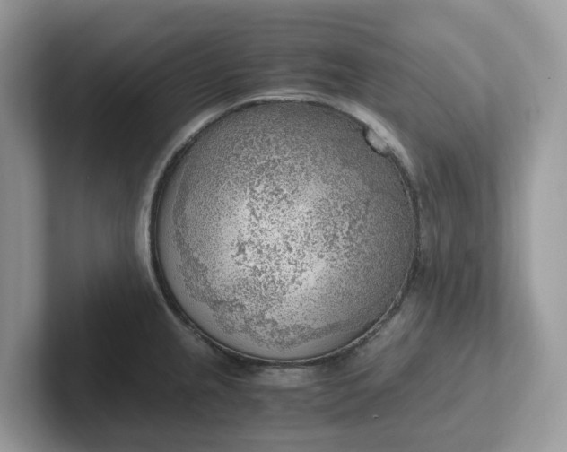 X0000101411237200807211048