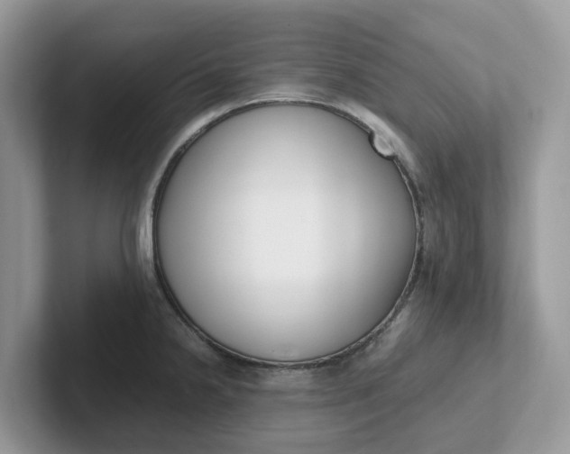 X0000101411238200807211048