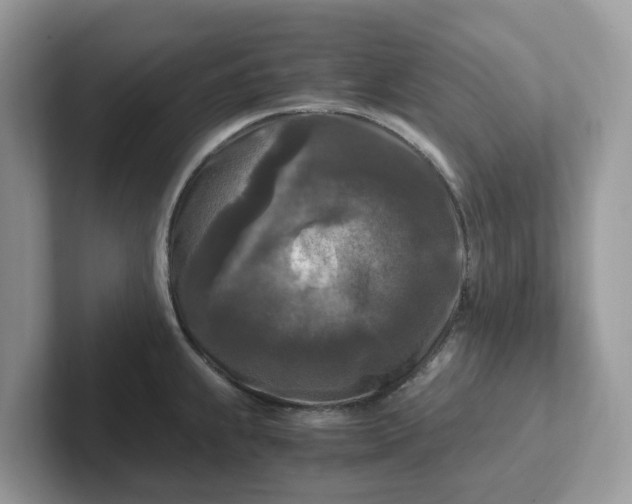 X0000101411239200807211048