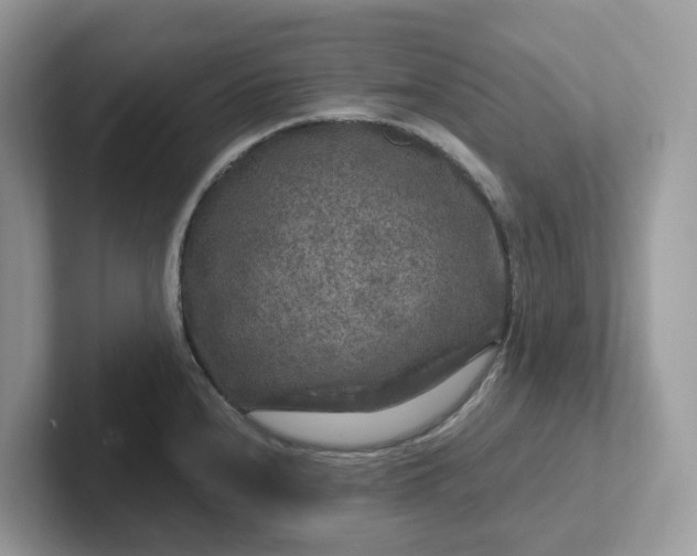 X0000101411240200807211048