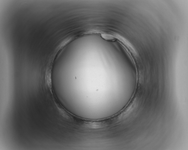 X0000101411241200807211048