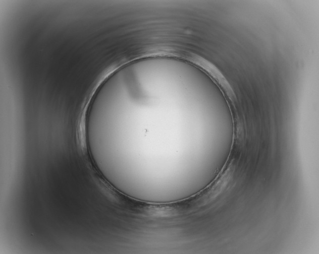 X0000101411242200807211048