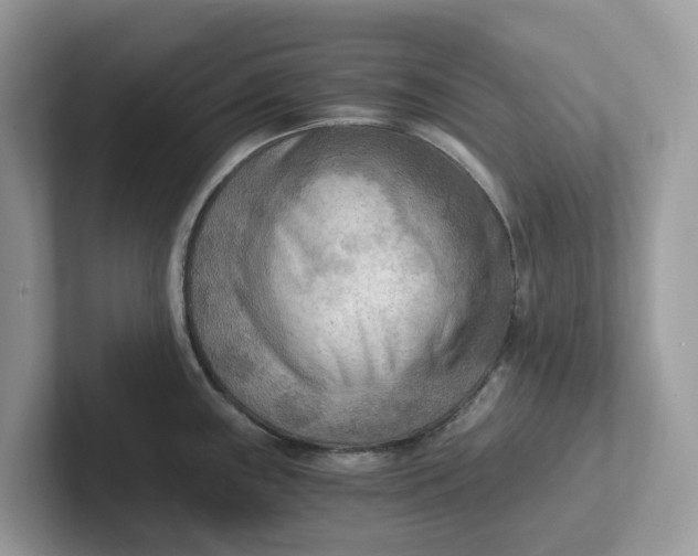 X0000101411243200807211048