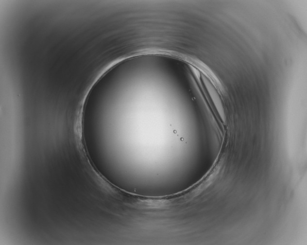 X0000101411244200807211048