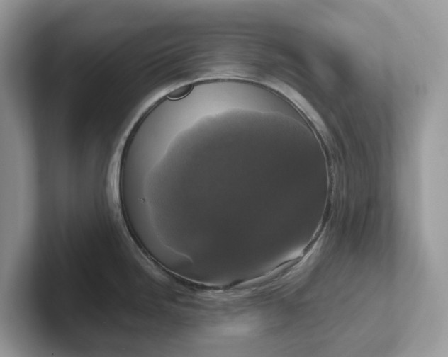 X0000101411246200807211049