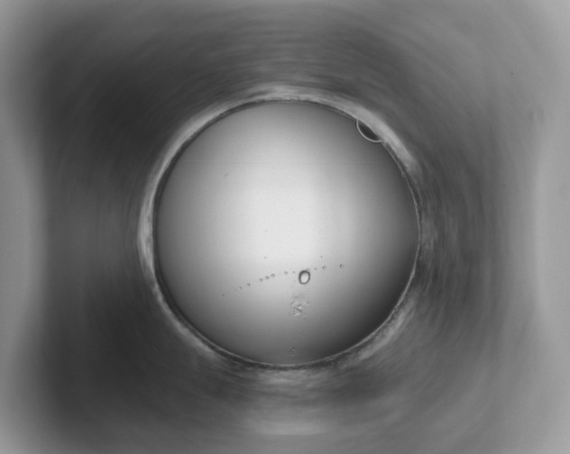 X0000101411247200807211049