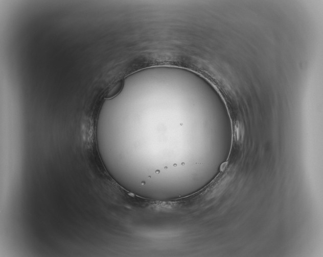 X0000101411251200807211048