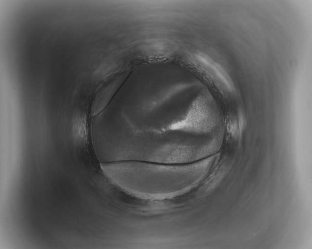 X0000101411252200807211048