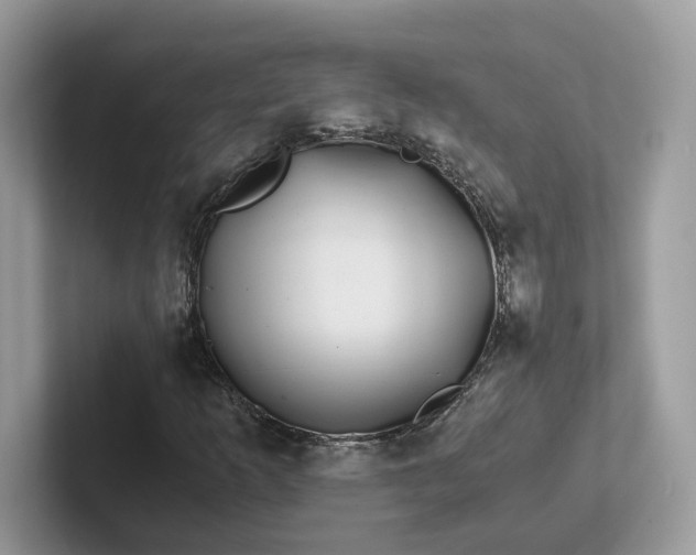 X0000101411253200807211048