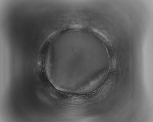 X0000101411254200807211048