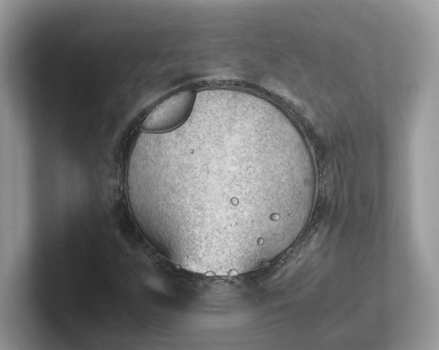 X0000101411255200807211048