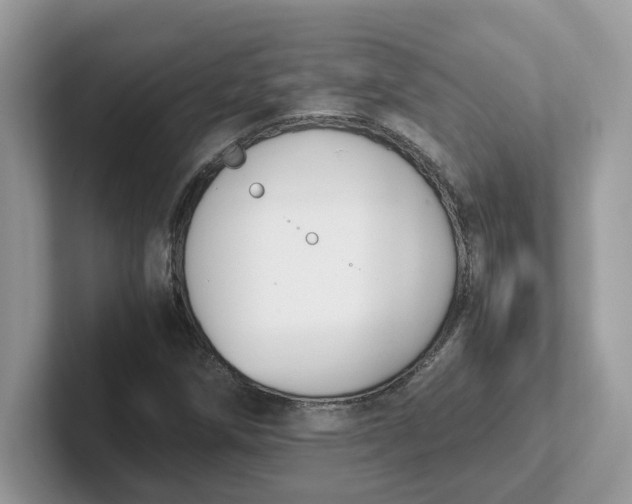 X0000101411258200807211048