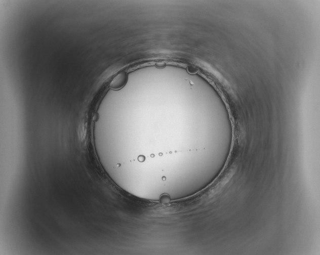 X0000101411259200807211048