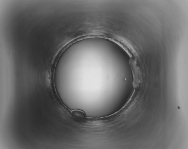 X0000101411260200807211048