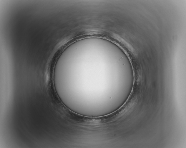 X0000101411261200807211048