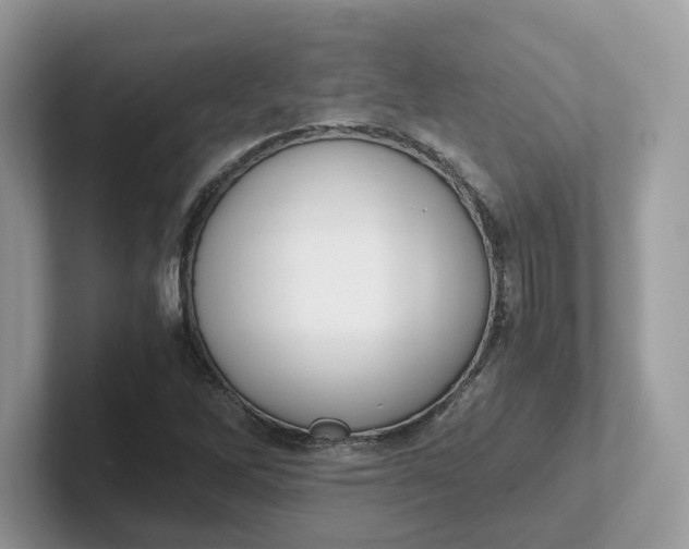 X0000101411262200807211048