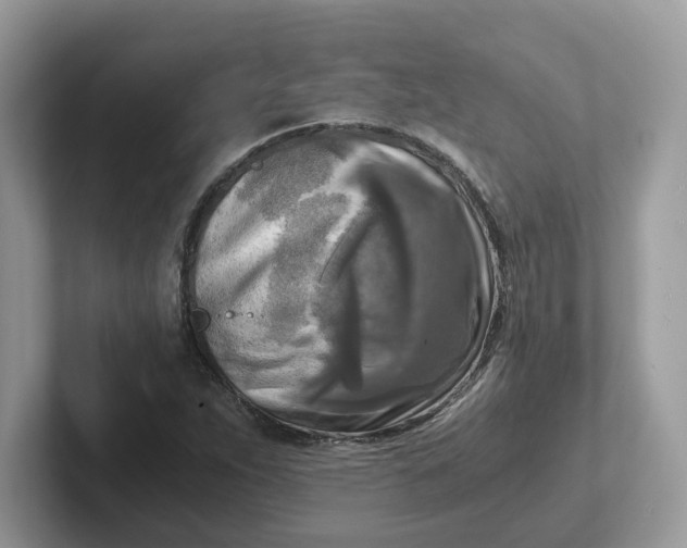 X0000101411263200807211048