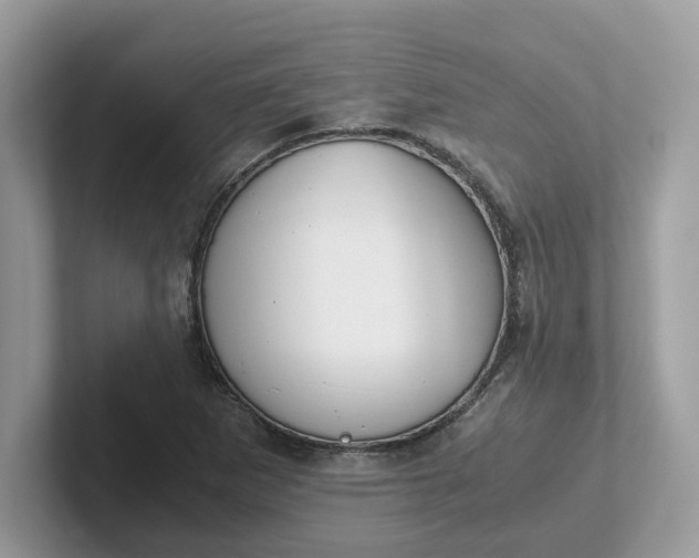 X0000101411265200807211048