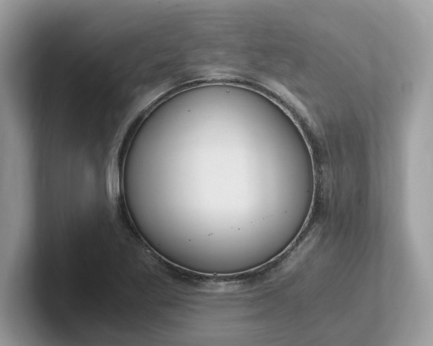 X0000101411269200807211048