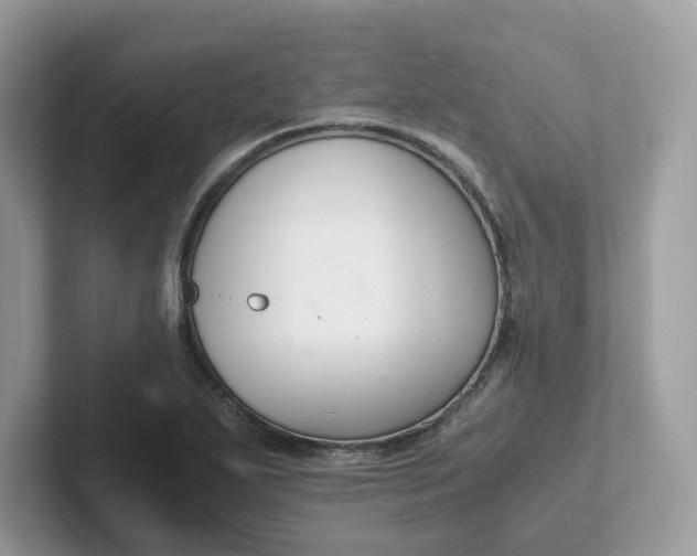 X0000101411271200807211048