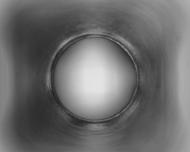 X0000101411272200807211048