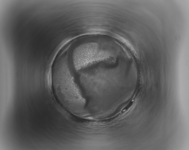 X0000101411275200807211048