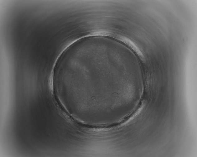 X0000101411276200807211048