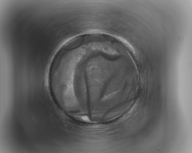 X0000101411279200807211047