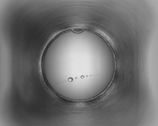 X0000101411283200807211047