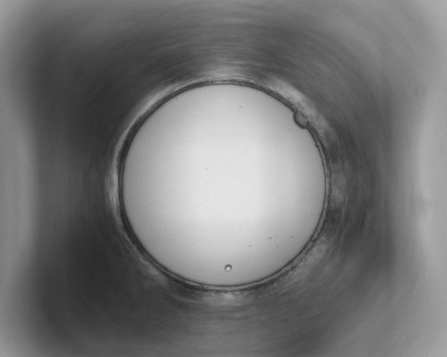 X0000101411286200807211047