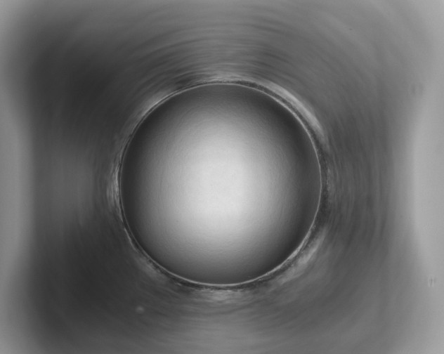 X0000101411289200807211047