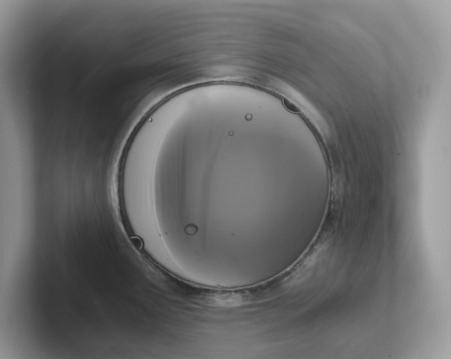 X0000101411291200807211047