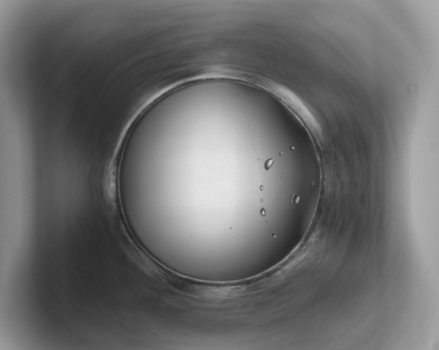 X0000101411292200807211047