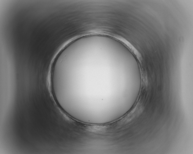 X0000101411294200807211047