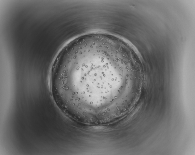 X0000101411295200807211047