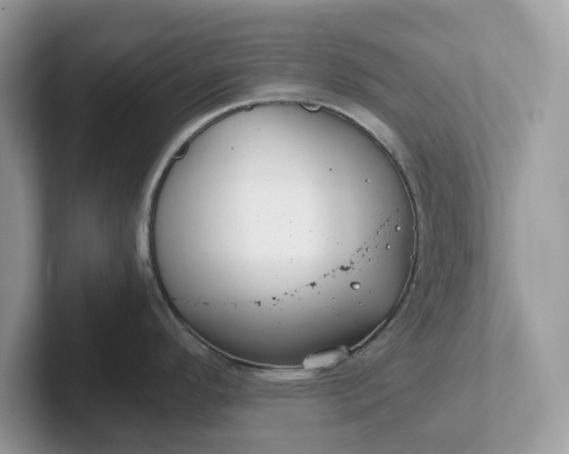 X0000101411296200807211047