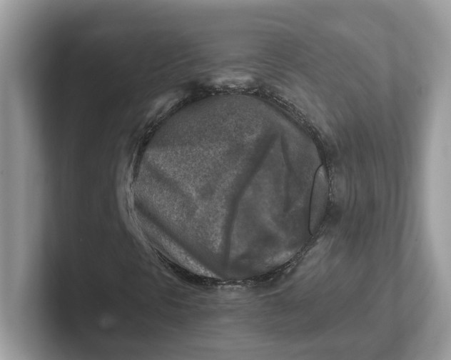 X0000101411297200807211047