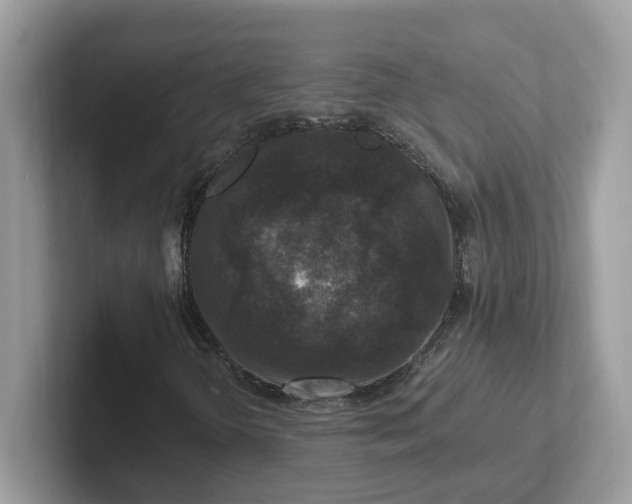 X0000101411298200807211047