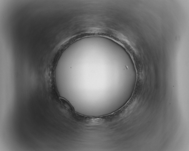 X0000101411304200807211047