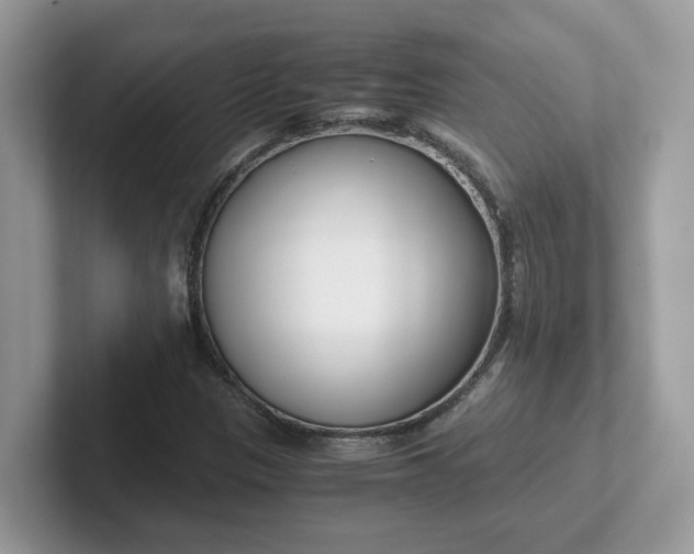 X0000101411305200807211047