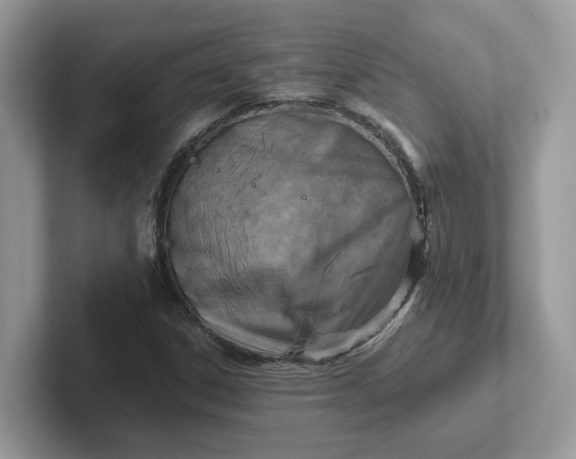 X0000101411306200807211047