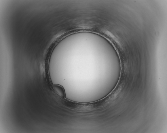 X0000101411307200807211047